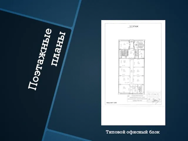 Поэтажные планы Типовой офисный блок