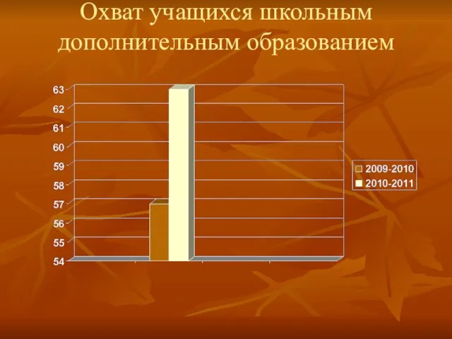 Охват учащихся школьным дополнительным образованием