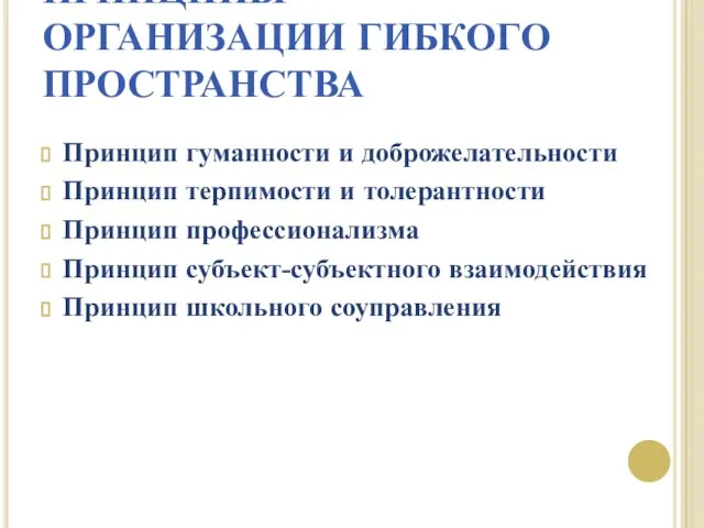 ПРИНЦИПЫ ОРГАНИЗАЦИИ ГИБКОГО ПРОСТРАНСТВА Принцип гуманности и доброжелательности Принцип терпимости и толерантности