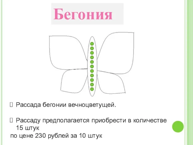 Бегония Рассада бегонии вечноцветущей. Рассаду предполагается приобрести в количестве 15 штук по