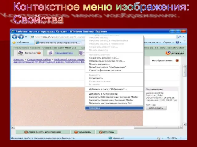 Контекстное меню изображения: Свойства
