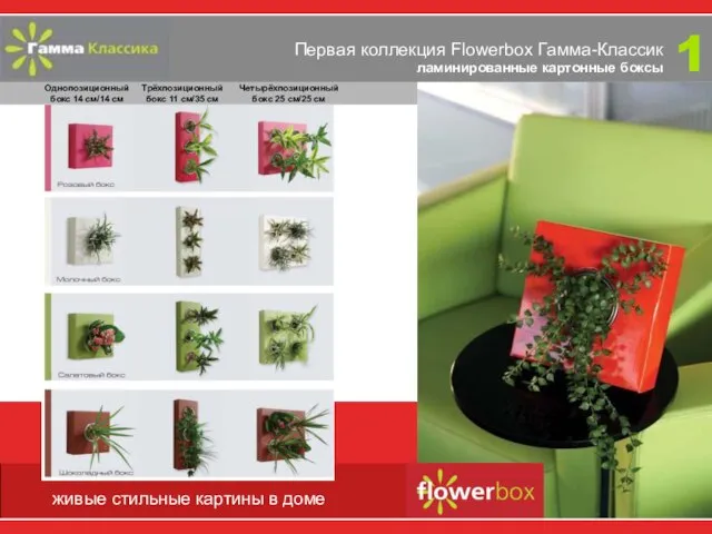 Первая коллекция Flowerbox Гамма-Классик ламинированные картонные боксы Однопозиционный бокс 14 см/14 см