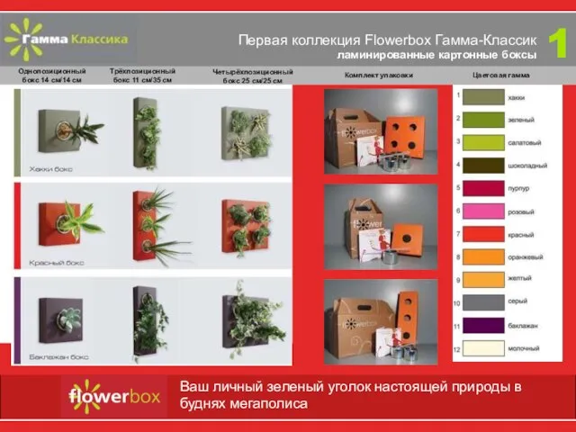 Первая коллекция Flowerbox Гамма-Классик ламинированные картонные боксы 1 Ваш личный зеленый уголок