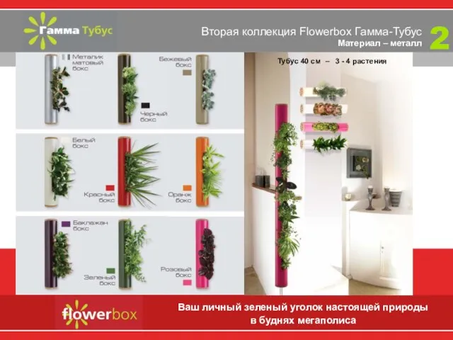 Вторая коллекция Flowerbox Гамма-Тубус Материал – металл Ваш личный зеленый уголок настоящей