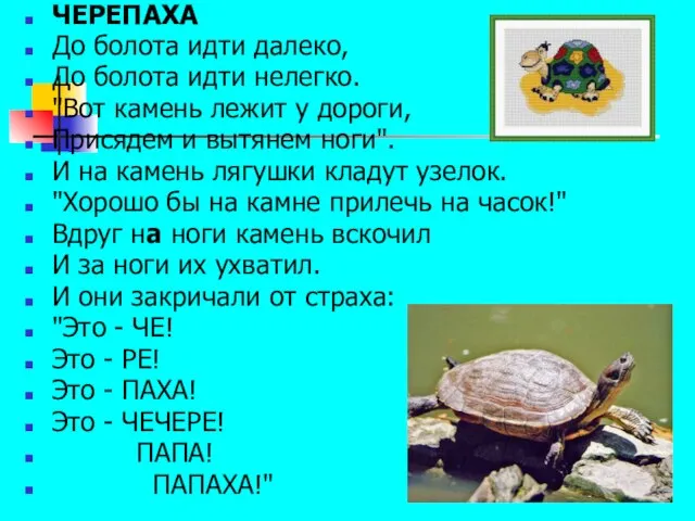 ЧЕРЕПАХА До болота идти далеко, До болота идти нелегко. "Вот камень лежит