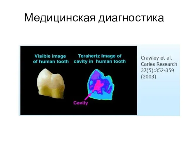 Медицинская диагностика