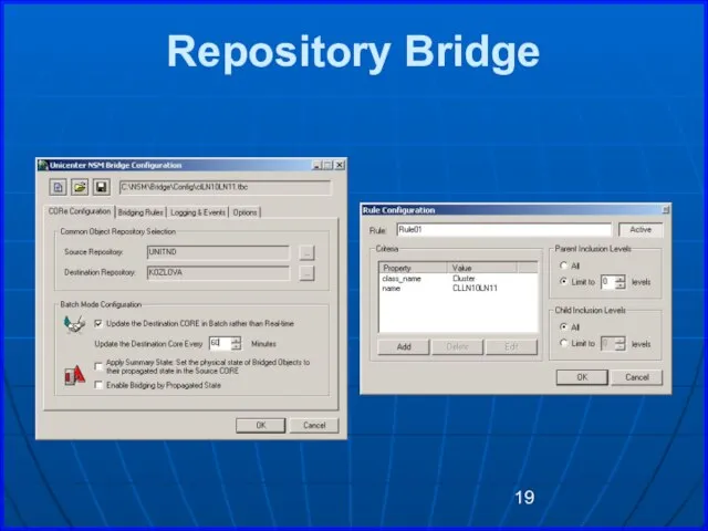Repository Bridge