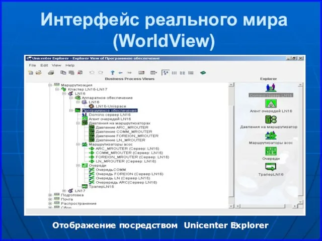 Интерфейс реального мира (WorldView) Отображение посредством Unicenter Explorer