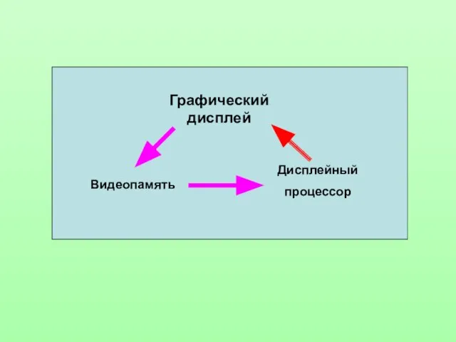 Графический дисплей Видеопамять Дисплейный процессор