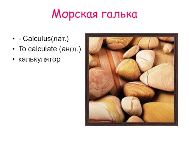Морская галька - Calculus(лат.) To calculate (англ.) калькулятор