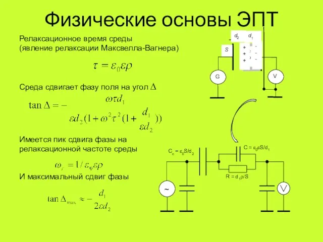 Физические основы ЭПТ Релаксационное время среды (явление релаксации Максвелла-Вагнера) Среда сдвигает фазу