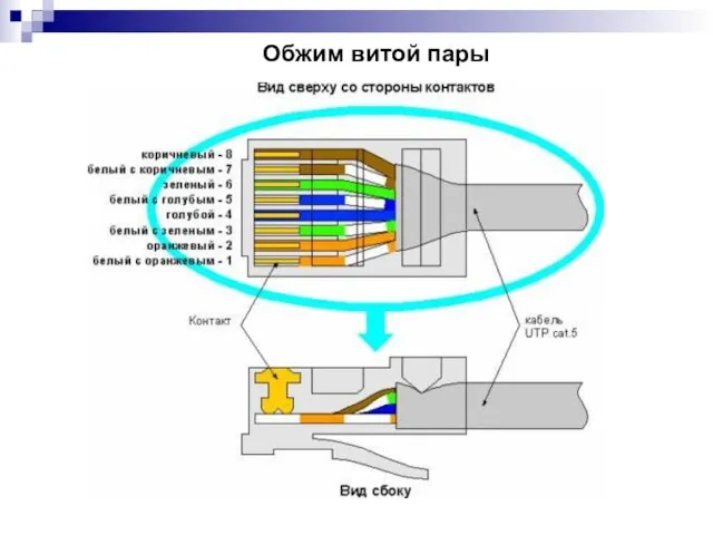 Обжим витой пары