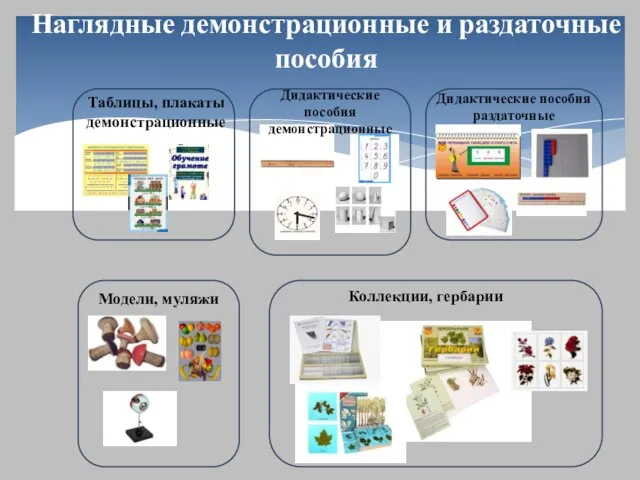 Таблицы, плакаты демонстрационные Дидактические пособия демонстрационные Дидактические пособия раздаточные Модели, муляжи Коллекции,