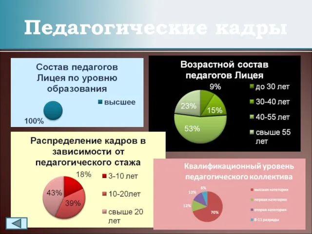 Педагогические кадры