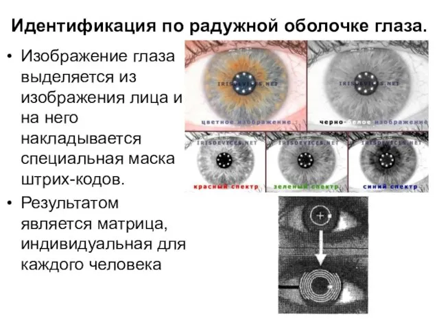 Идентификация по радужной оболочке глаза. Изображение глаза выделяется из изображения лица и