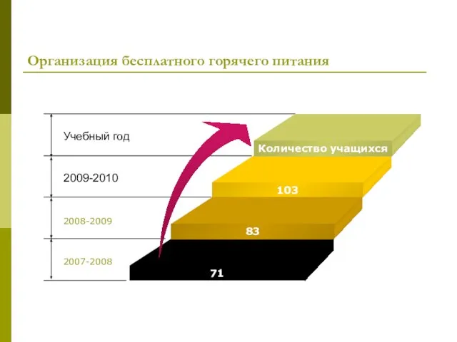 Организация бесплатного горячего питания Учебный год 2009-2010 2008-2009 2007-2008