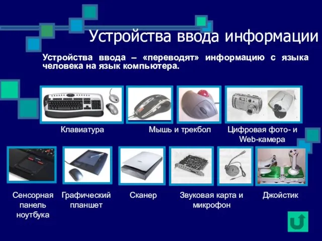 Устройства ввода информации Клавиатура Мышь и трекбол Сенсорная панель ноутбука Графический планшет