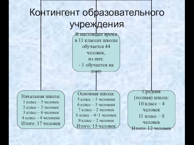 Контингент образовательного учреждения