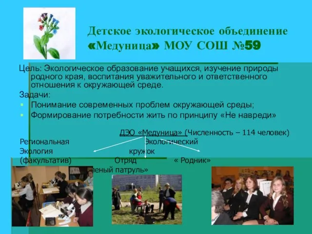 Детское экологическое объединение «Медуница» МОУ СОШ №59 Цель: Экологическое образование учащихся, изучение