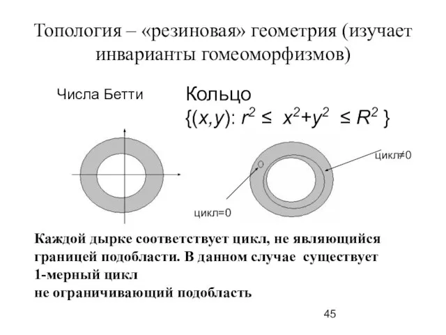 Топология – «резиновая» геометрия (изучает инварианты гомеоморфизмов) Каждой дырке соответствует цикл, не