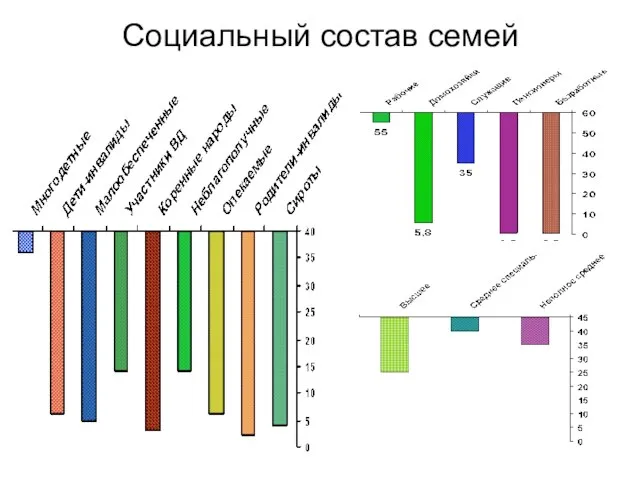 Социальный состав семей