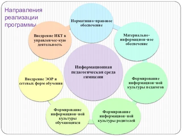 Направления реализации программы