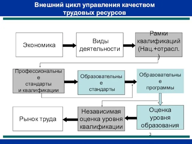 Внешний цикл управления качеством трудовых ресурсов Экономика Виды деятельности Рамки квалификаций (Нац.+отрасл.)