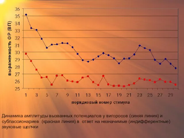 Динамика амплитуды вызванных потенциалов у вигоросов (синяя линия) и субпассионариев (красная линия)