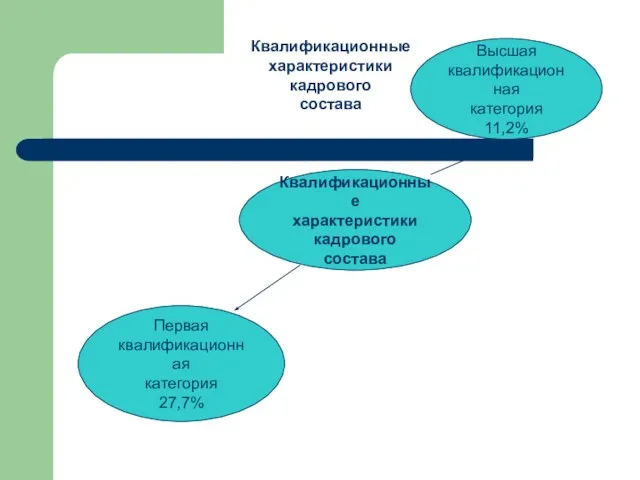 Квалификационные характеристики кадрового состава Квалификационные характеристики кадрового состава Первая квалификационная категория 27,7% Высшая квалификационная категория 11,2%