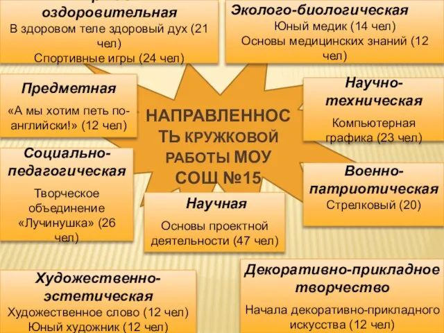 НАПРАВЛЕННОСТЬ КРУЖКОВОЙ РАБОТЫ МОУ СОШ №15 Научная Основы проектной деятельности (47 чел)