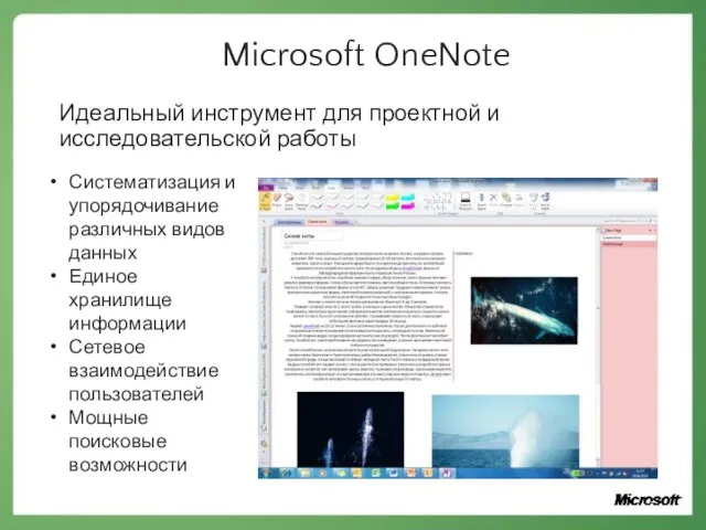 Microsoft OneNote Идеальный инструмент для проектной и исследовательской работы Систематизация и упорядочивание