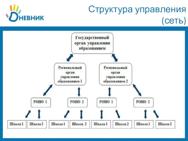 Структура управления (сеть)