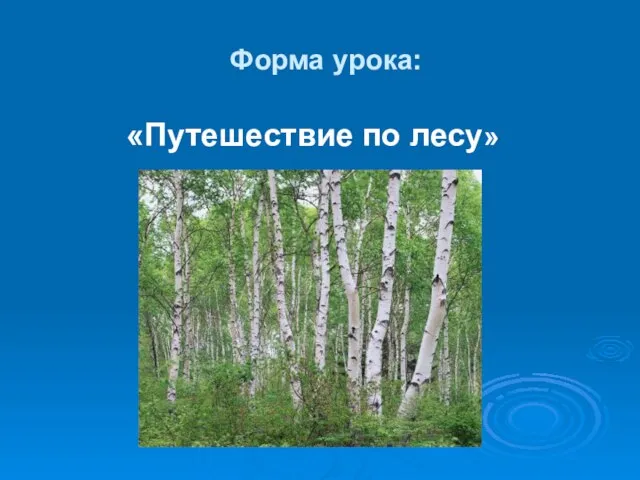 Форма урока: «Путешествие по лесу»