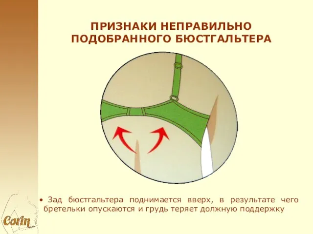 ПРИЗНАКИ НЕПРАВИЛЬНО ПОДОБРАННОГО БЮСТГАЛЬТЕРА Зад бюстгальтера поднимается вверх, в результате чего бретельки