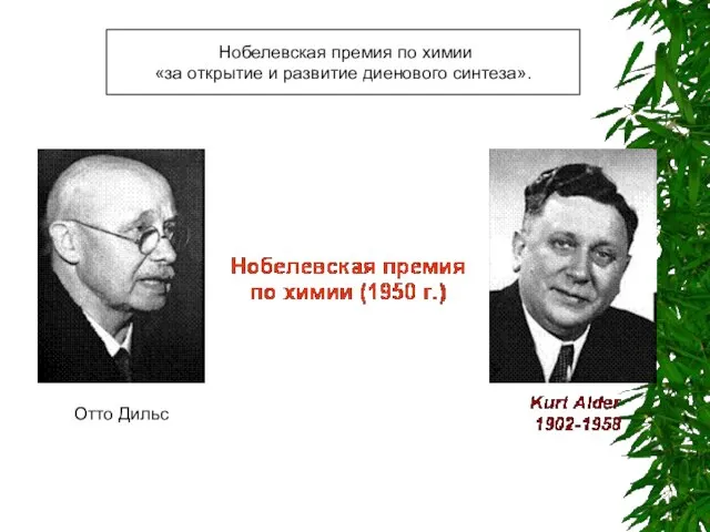 Отто Дильс Нобелевская премия по химии «за открытие и развитие диенового синтеза».