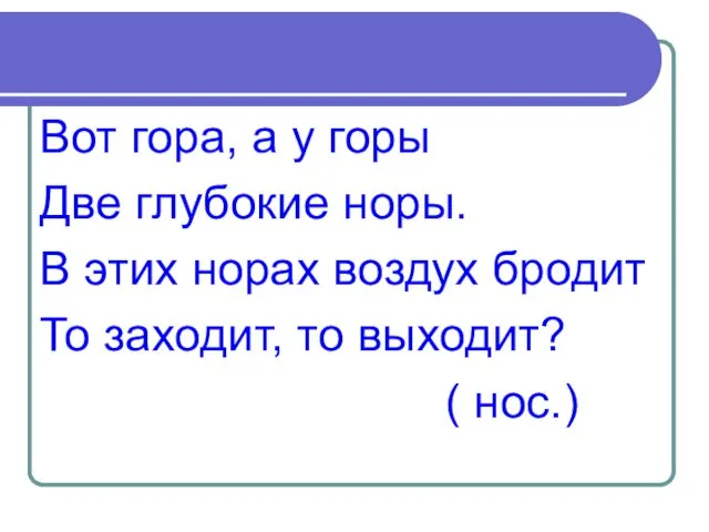 Вот гора, а у горы Две глубокие норы. В этих норах воздух