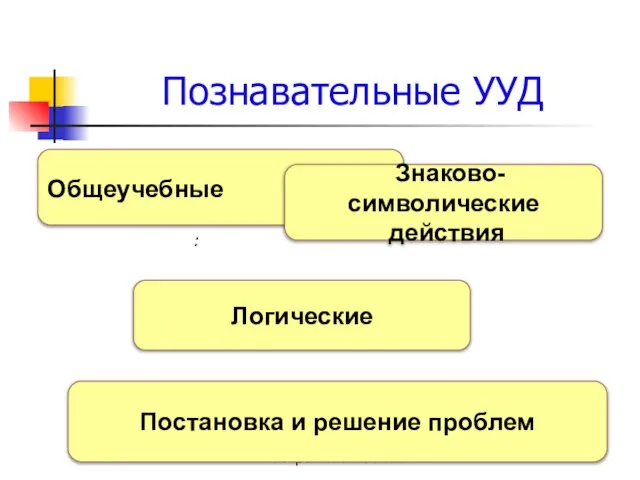 МОУ СОШ №1 г.п.п. Ч. Боры Буйского муниципального района Костромской области Познавательные