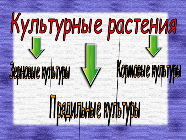 Культурные растения Зерновые культуры Прядильные культуры Кормовые культуры