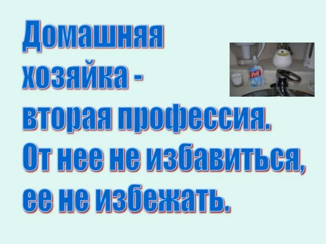 Домашняя хозяйка - вторая профессия. От нее не избавиться, ее не избежать.