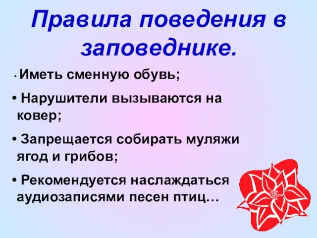 Правила поведения в заповеднике. Иметь сменную обувь; Нарушители вызываются на ковер; Запрещается