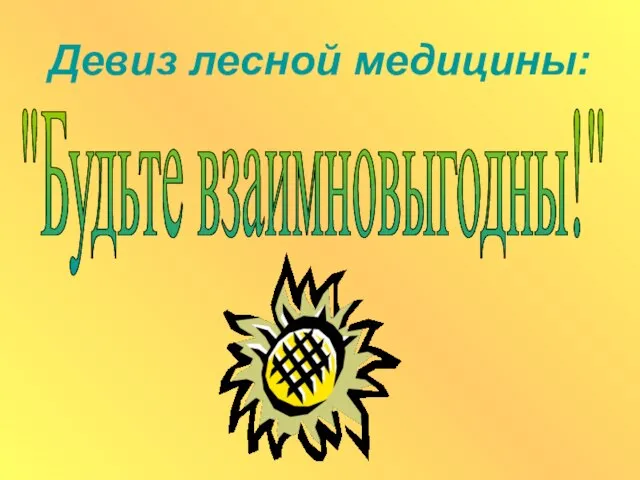 Девиз лесной медицины: "Будьте взаимновыгодны!"