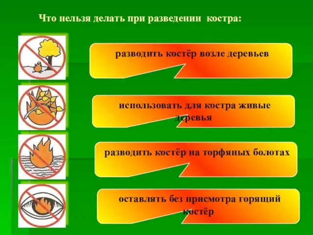 Что нельзя делать при разведении костра: разводить костёр возле деревьев использовать для