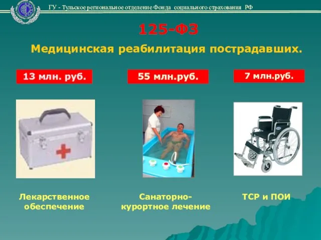 Медицинская реабилитация пострадавших. Санаторно-курортное лечение 125-ФЗ Лекарственное обеспечение 13 млн. руб. 55