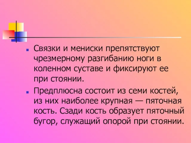 Связки и мениски препятствуют чрезмерному разгибанию ноги в коленном суставе и фиксируют