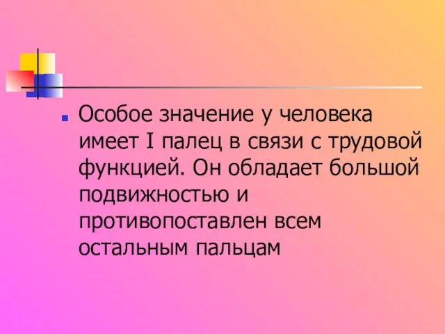 Особое значение у человека имеет I палец в связи с трудовой функцией.