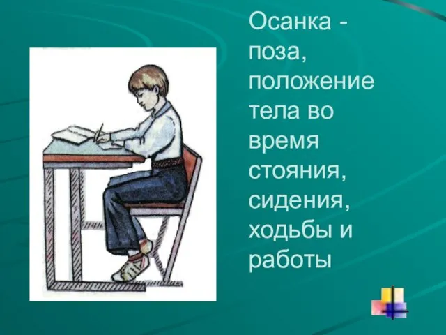 Осанка - поза, положение тела во время стояния, сидения, ходьбы и работы