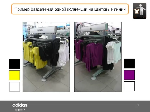 Shop Manager Пример разделения одной коллекции на цветовые линии