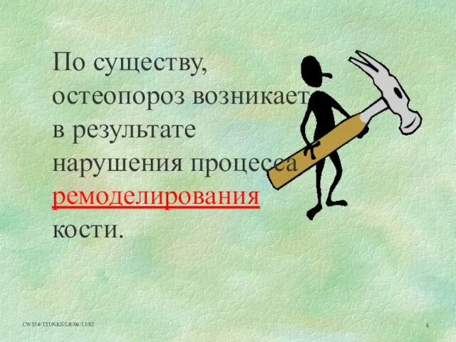 По существу, остеопороз возникает в результате нарушения процесса ремоделирования кости.