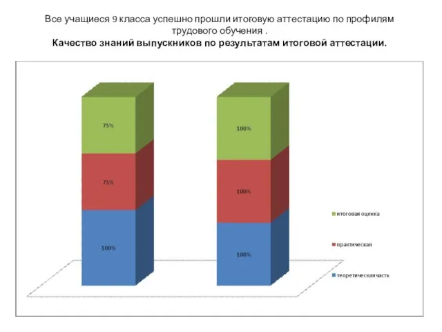 Все учащиеся 9 класса успешно прошли итоговую аттестацию по профилям трудового обучения