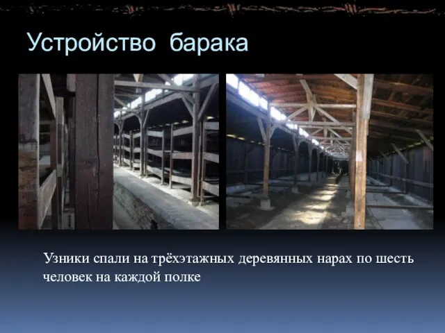 Устройство барака Узники спали на трёхэтажных деревянных нарах по шесть человек на каждой полке